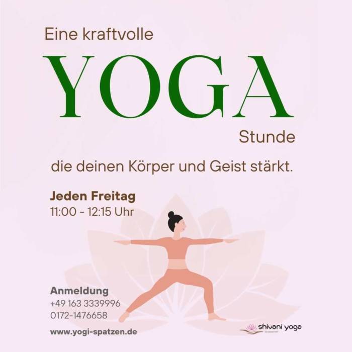 Hatha Vinyasa kraftvoll