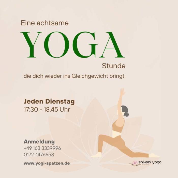 Vinyasa Flow after Work (8erKurs) 11.11.2025